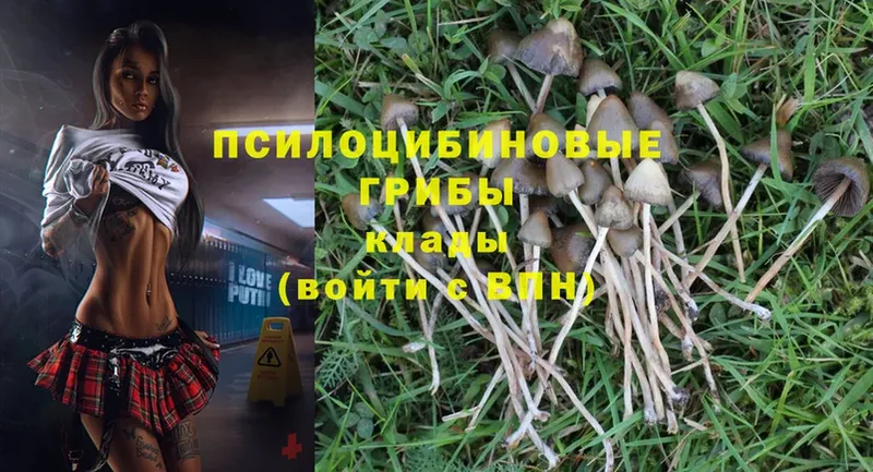 Галлюциногенные грибы MAGIC MUSHROOMS  Остров 